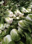 Buy cheap Lower Blood Pressure Green Flat Head Cabbage Low In Calories Rich Vitamin C from wholesalers