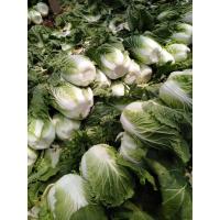Buy cheap Lower Blood Pressure Green Flat Head Cabbage Low In Calories Rich Vitamin C product