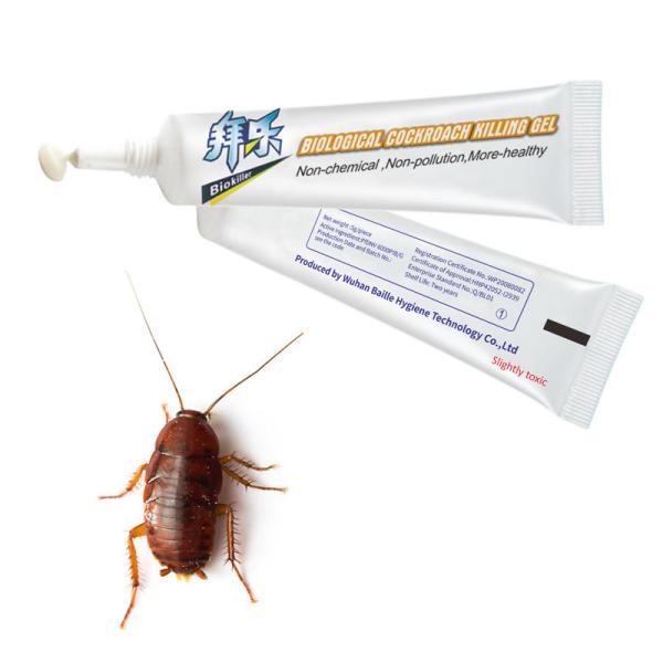 Buy cheap Viral PfDNV Household Cockroach Repellent Gel 4 Packs , Syringe, Handy Stickers, Bait Box from wholesalers