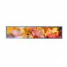 Buy cheap TFT Display Module 15.1 Inch 1280x242 Resolution 30 Pins LVDS Interface from wholesalers