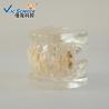 Buy cheap Natural Size Dental Study Models VIC-B2 24pcs Plastic Orthodontic Teeth Model from wholesalers