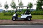 Electronic Small 2 Seater Golf Cart With Caddy Plate CE Approved , Green Color