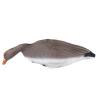 Buy cheap XPE Brown Real Life Canada Goose Decoys For Outdoor Hunting Accessories from wholesalers