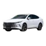 BYD Tang Dm-I Hybrid 5-Seat Electric Car 1.5L E-CVT 1 Motor 55km 120km Champion
