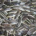 Amazon hot sale Raw Sunflower Seeds Variety: Best for Snack Packaging - Gluten
