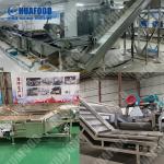 Fully Automated Chips Production Line Potato French Fries Production Line