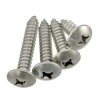 Buy cheap M4*14mm Phillips Truss Head Self Tapping Sheet Metal Screw 304 Stainless product