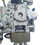 0460424562 VE Pump for Fuel Delivery