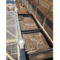 Buy cheap 5.5t 66m3/H Poultry Farm MBBR Wastewater Treatment Plant ISO9001 product