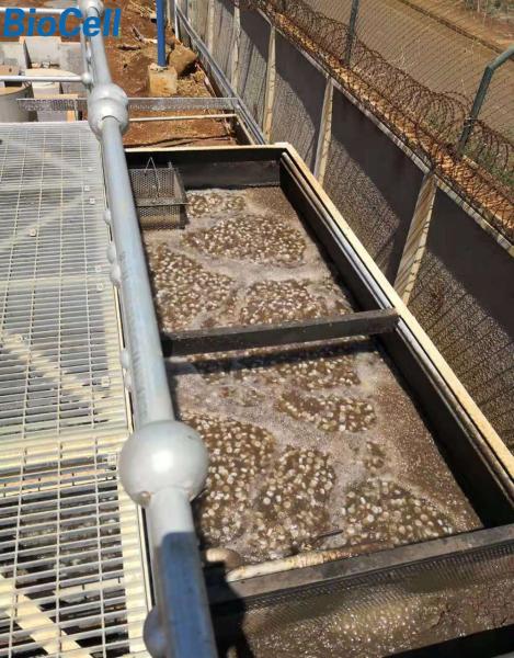 Buy cheap 5.5t 66m3/H Poultry Farm MBBR Wastewater Treatment Plant ISO9001 from wholesalers