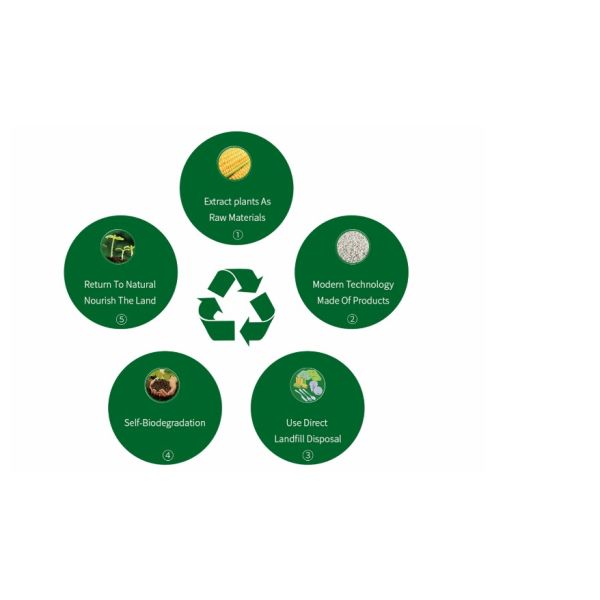 PLA Biodegradable transparent Stretch Wrap Cling Film