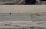 White Natural Ash Wood Veneer Slice Cut 0.5mm Thickness For Interior Finishing