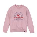 Fleece Fabric Plain Crew Neck Sweatshirt Unisex Long Sleeve Jumper Pullover