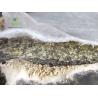 Buy cheap Waterproof Membrane Bentonite Geosynthetic Clay Liner for Natural Sodium Bentonite from wholesalers