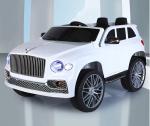 12V 2 Seater Electric Ride On Car for Toddlers G.W. N.W 23.5KGS/19KGS Age Range