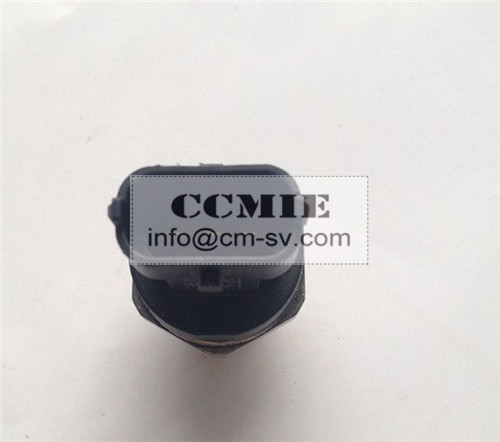 WEICHAI Dongfeng Faw jiefang Parts Rail Pressure Transducer 0281002937/64253974092