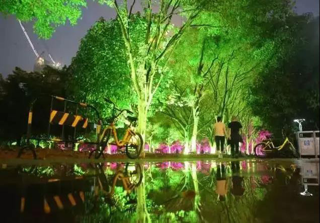 36w Outdoor Colors Rgb Led Garden Tree Flood Light For Landscape Projection