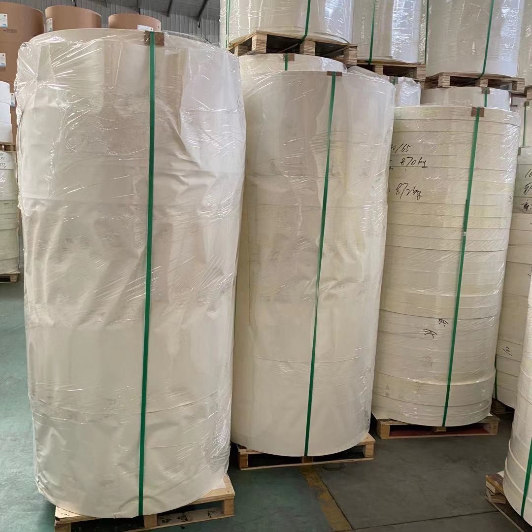 Food Grade Paper Cup Bottom Roll Single PE Coated 100% Virgin Wood Pulp