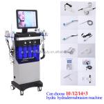 Customizable Hydra Beauty Machine 14+3 For Face Lifting Acne Treatment