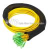 Buy cheap 48F Single Mode Fiber Optic Pigtail LSZH SC/APC Connectors from wholesalers