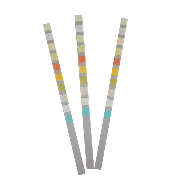 Invbio Fsc Certified Urinalysis Test Strips 11 Parameters