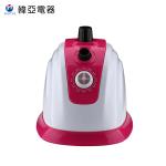 220 Volt Portable Handheld Garment Steamer Stainless Steel Panel Steam Iron