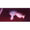 Buy cheap High Gloss Saturated 50/50 Hybrid Polyester Super Low Temp Curing from wholesalers