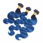 Pre-Colored Brazilian Body Wave Human Hair Bundles With Closure Ombre Color 1B