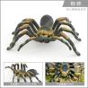 Buy cheap Insect Figures Model Toy Spider Figurines Party Favors Supplies Cake Toppers Decoration Set Toys from wholesalers