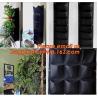 Buy cheap waterproof 10 pockets non-woven fabric wall hanging flower bag, Felt Material and Grow Bags Type Planter Wall Grow Bag from wholesalers
