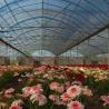 Buy cheap Customization Option Juxiang Hydroponic System Vegetable Cultivation Film Greenhouse from wholesalers