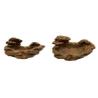 Buy cheap Food Grade Reptile Feeding Bowl Resin Material Environmental Friendly from wholesalers