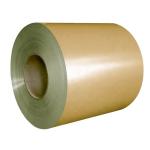 Ppgl Roofing Sheet PPGI Steel Coil 0.75x1219mm Electro Pre Coated Aluminium