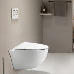 Special Shapes Wall Hung Toilet With Hidden Water Tank And Single Hole