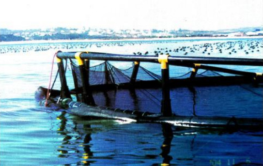Made in China Ship Launching Airbags