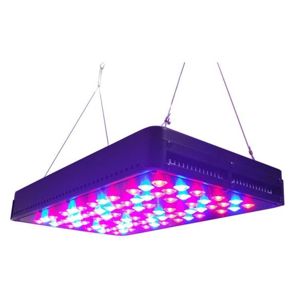 Buy cheap cidly 200watt led grow lights 5w chip leds for hydroponic system,for greenhouse from wholesalers