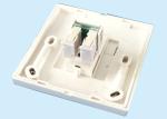 RJ45 Wall Mounted Fiber Optic Faceplate Economic Design Bt Fibre Faceplate