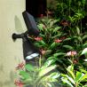 Buy cheap 4000K Solar Powered LED Ground Lights CE Outdoor Bright Solar Lights from wholesalers
