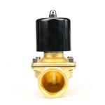 2 Wire Brass Electric 2 Way Replace Solenoid Valve AC220V/DC12V/24V