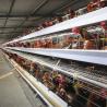 Buy cheap Layer Cage Poultry Equipment Automatic 3 Tiers 4 Tiers A Type Poultry Cages from wholesalers