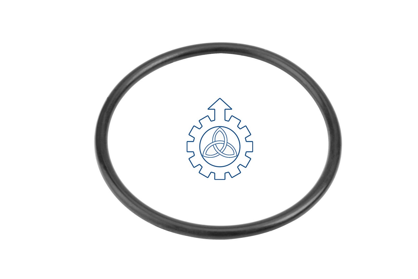 O-ring 5003065068,635290