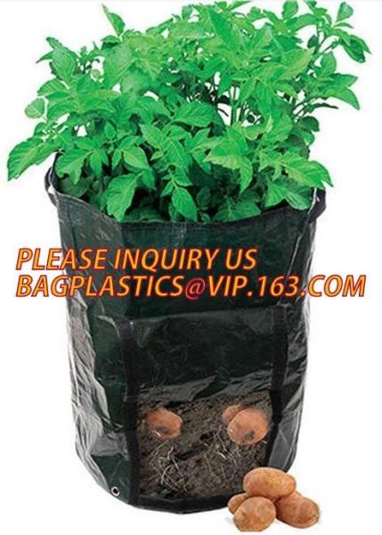 Buy cheap Garden grow bag potato grow bag murphy bag PE fabric,40 / 50 / 100 / 200/300gallon durable heavy duty potato grow bag from wholesalers