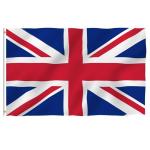 Pantone Color Polyester World Flags 150cmx90cm Football Club Flags