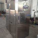 Industrial Air Circulation Hot Air Drying Oven Fish Meat CT Fruit Dehydrator
