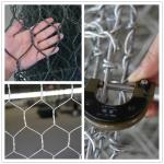 80x100mm Mesh Hot-Dipped Galvanized Woven Gabion Box for TT/Western Union