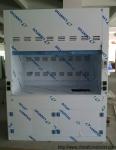 Hospital Medical Chemical Fume Hood Vertical With Opening Window