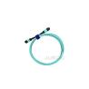 Buy cheap Fiber Optic Cable Patch Cord，duplex fiber optic patch cord LSZH from wholesalers