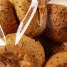 Buy cheap Micro-Perforated Polypropylene Crusty Bread Bag Bakery Bags Twist Ties, Suitable for Mini bun Donut/Muffin/Bagel from wholesalers
