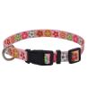 Buy cheap Wholesale Plain Nylon Braided Training Dog and Cat Collars and leash for walking from wholesalers