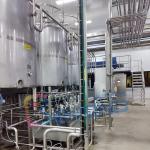 Commercial Fruit Processing Equipment Litchi Juice Machine With Branch Removal